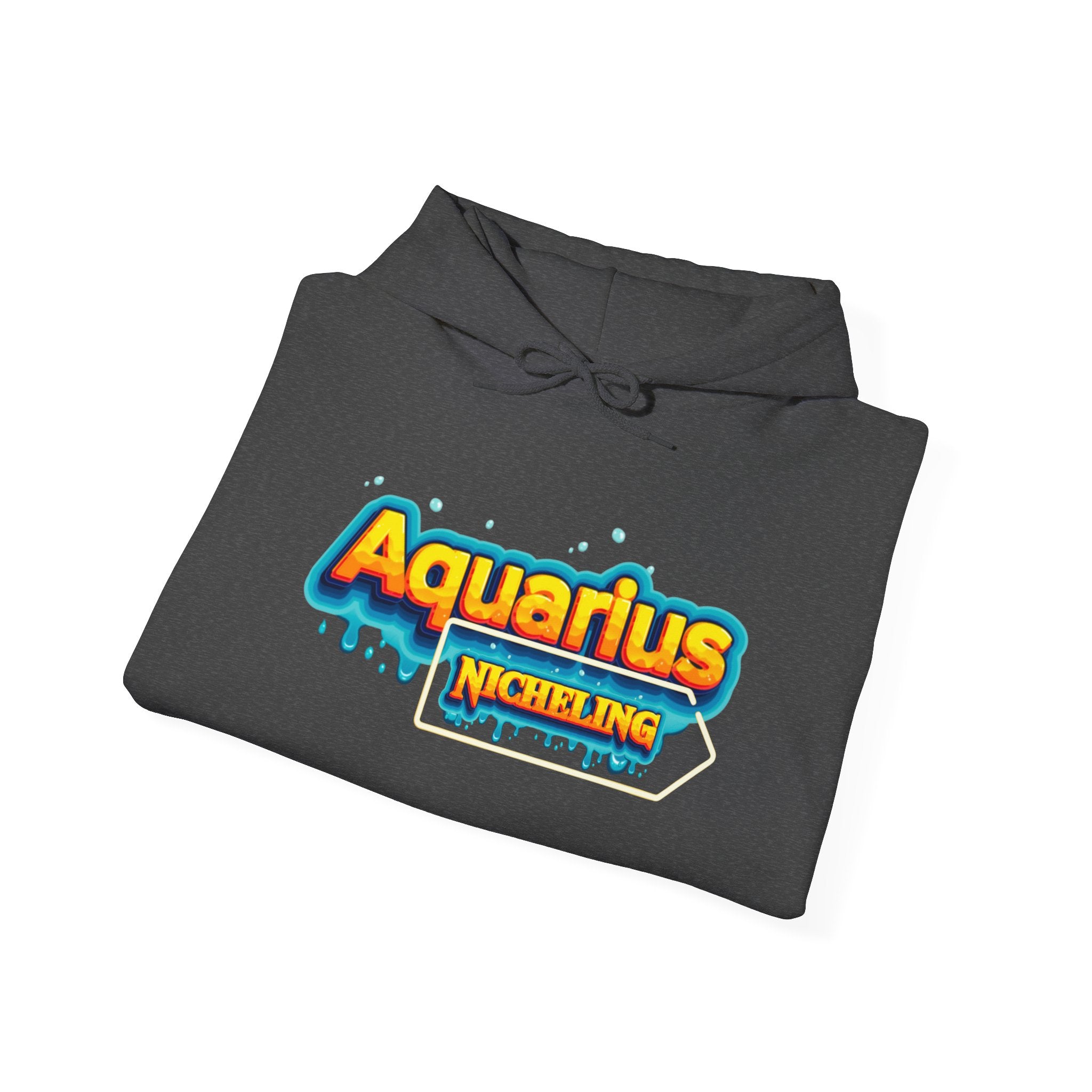 🌀 Aquarius Nicheling Hoodie — Official Artifact of the Nicheverse